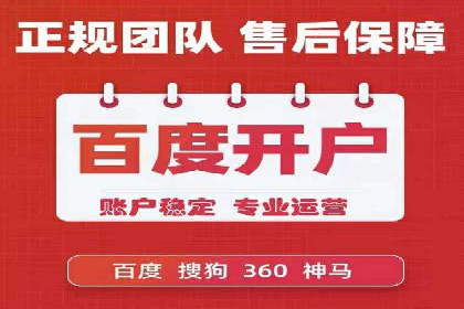 SEM竞价广告投放效果案例分析